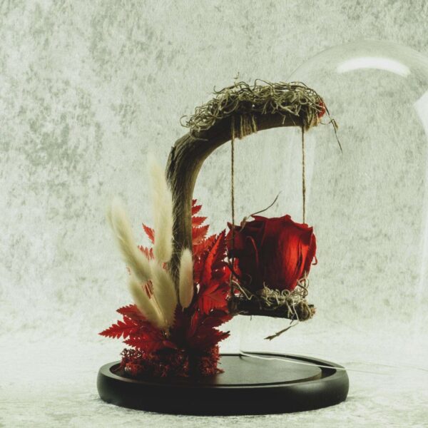 Forever Rose σε γυάλα