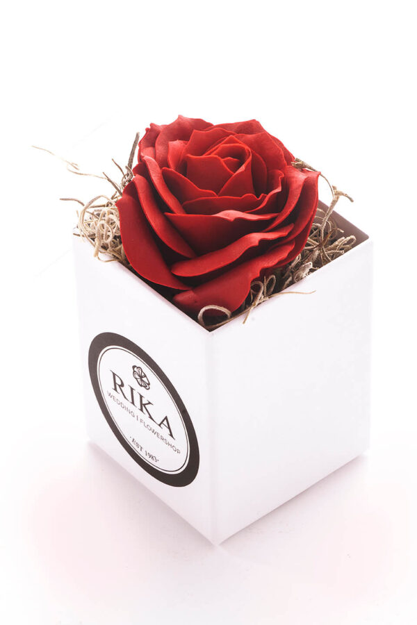 Τριαντάφυλλο σε κουτί (Μini)
